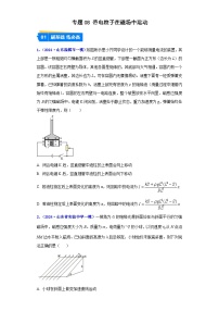專題08 磁場--2024年高考物理一模試題分類匯編（山東專用）
