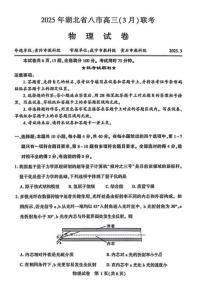 2025屆湖北省八市高三下學期3月聯(lián)考（二模）物理試題（含答案）