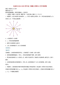 北京市2024_2025學(xué)年高二物理上學(xué)期10月月考試卷含解析 (1)