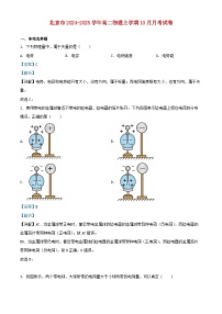 北京市2024_2025學(xué)年高二物理上學(xué)期10月月考試卷含解析 (2)