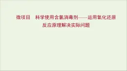 福建專用2021_2022學(xué)年新教材高中化學(xué)第2章元素與物質(zhì)世界微項(xiàng)目科學(xué)使用含氯消毒劑__運(yùn)用氧化還原反應(yīng)原理解決實(shí)際問(wèn)題課件魯科版必修1