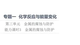 蘇教版高中化學(xué)選擇性必修1專題1化學(xué)反應(yīng)與能量變化第3單元能力課時(shí)3金屬的腐蝕與防護(hù)課件