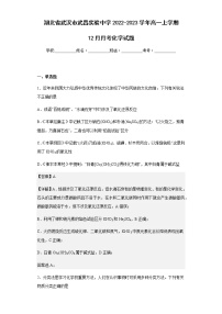 2022-2023学年湖北省武汉市武昌实验中学高一上学期12月月考化学试题含解析