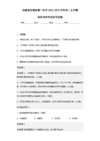 2022-2023学年安徽省芜湖市第一中学高一上学期选科分班考试化学试题含解析