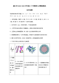 2022-2023学年广东省湛江市高三下学期第七次模拟测试化学试题含解析