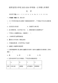 湖南省部分学校2023-2024学年高一上学期入学调研化学试题（Word版含答案）