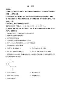 2024湖南省部分校高二上学期10月联考试题化学含答案