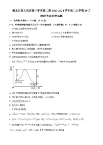 2024省大庆实验中学二部高二上学期10月阶段性考试化学含答案