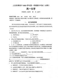 上海市实验学校东滩高级中学2023-2024学年高一上学期期中考试化学试题(1)