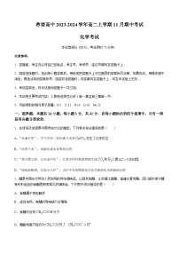 广西南宁市希望高中2023-2024学年高二上学期11月期中考试化学试题（含解析）