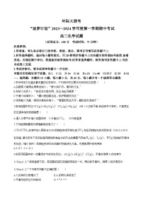 河南省环际大联考“逐梦计划”2023-2024学年高二上学期期中考试 化学（含答案）