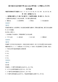 四川省合江县马街中学2023-2024学年高一上学期12月月考化学试题（Word版附解析）