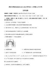 湖北省武汉市武昌实验中学2023-2024学年高二上学期12月月考化学试题含答案