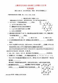 上海市2023_2024高三化学上学期10月月考试题无答案