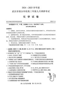 湖北省武漢市部分學(xué)校2025屆高三上學(xué)期9月第一次調(diào)研考試+化學(xué)試題+