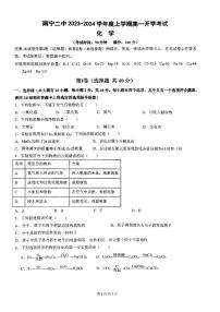 廣西南寧市第二中學(xué)2023-2024學(xué)年高一上學(xué)期開學(xué)考試+化學(xué)試題