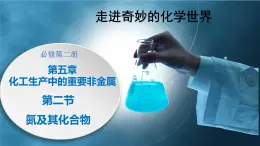5.2.6《硝酸的有關(guān)計(jì)算》課件 人教版高中化學(xué)必修第二冊