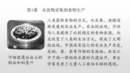 2022部编版2019必修2经济与社会生活第1课从食物采集到食物生产37张PPT