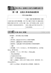 人教版 (新課標(biāo))第1課 法國大革命的最初勝利學(xué)案
