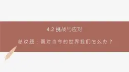 高中思想政治统编版选择性必修一 4.2挑战与应对 课件