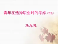 【高教版】中職語(yǔ)文職業(yè)模塊服務(wù)類：第4課《青年在選擇職業(yè)時(shí)的考慮》課件（1）