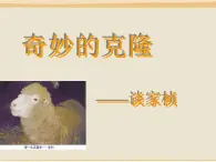 中職語文版基礎模塊（下）奇妙的克隆ppt課件