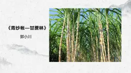 部編高教版中職語文基礎(chǔ)模塊下冊6-2《青紗帳—甘蔗林》課件