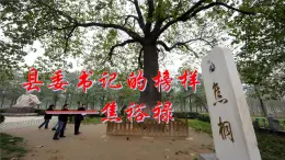 部編高教版（2023）中職語文職業(yè)模塊上冊《縣委書記的榜樣——焦裕祿》課件+學(xué)案+知識梳理