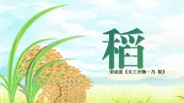 部編高教版（2024）拓展模塊下冊(cè)5.2《稻》課件