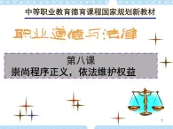 第八課 崇尚程序正義 依法維護(hù)權(quán)益 課件