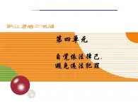 第九課 預(yù)防一般違法行為 課件