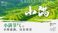 綠色畫風中國傳統(tǒng)二十四節(jié)氣之小滿課件