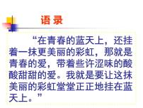 預(yù)防早戀主題班會(huì)課件