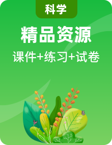 浙教版科學(xué)七下課件PPT+練習(xí)整套（含綜合測(cè)試）