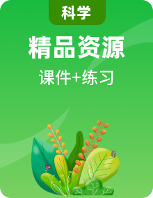 【核心素養(yǎng)】浙教版科學(xué)八年級(jí)下冊(cè) 同步課件+同步練習(xí)