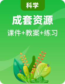 蘇教版（2017）三年級上冊科學(xué) 課件+教案+同步練習(xí)（含答案）