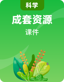 浙教版九年級(jí)科學(xué)上冊(cè)同步精品課堂（課件）