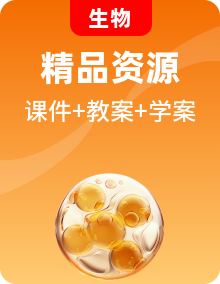 新浙科版生物必修2《遺傳與進化》PPT課件+學(xué)案+教案整套