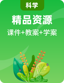 浙教版科學(xué)七年級(jí)下課件PPT+教案+導(dǎo)學(xué)案