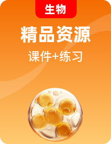 浙科版高中生物選擇性必修1課件PPT+同步練習(xí)