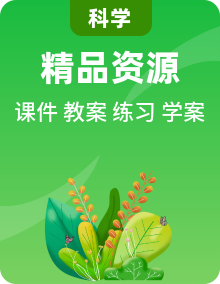 浙教版九年級(jí)上冊(cè)科學(xué)課件+教案+導(dǎo)學(xué)案+同步練習(xí)