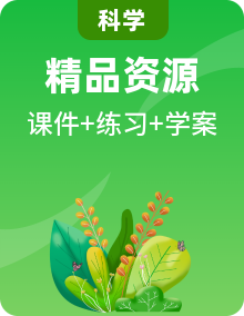 浙教版科學(xué)九下PPT課件+預(yù)習(xí)學(xué)案+練習(xí)整套