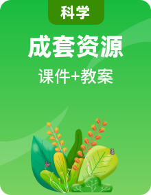 初中科學(xué)浙教版（2024）新教材七年級(jí)下冊(cè)  同步教案+配套課件