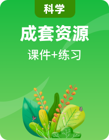 教科版（2017）科學(xué)六年級下冊習(xí)題課件