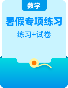 人教版暑假小升初數(shù)學(xué)考點銜接自學(xué) 專題練習(xí)（原卷版+解析版）