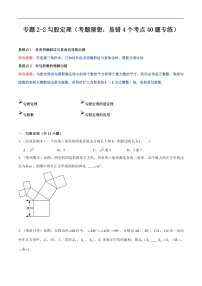 【期中講練測】人教版八年級下冊數(shù)學 專題2-2勾股定理 易錯專練 .zip