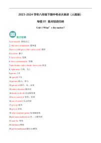 【期中講練測】人教版八年級下冊英語專題01 重點短語歸納（考點清單）