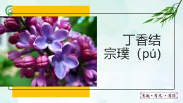 人教部編版（五四版）語文六上 2 丁香結(jié) 課件