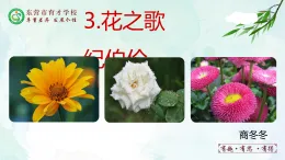 人教部編版（五四版）語文六上 3 花之歌 課件