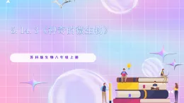 苏教版生物八上 5.14.3《神奇的微生物》课件+学案+练习（原卷版+解析卷）